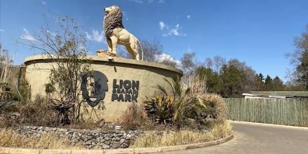 Lion Park