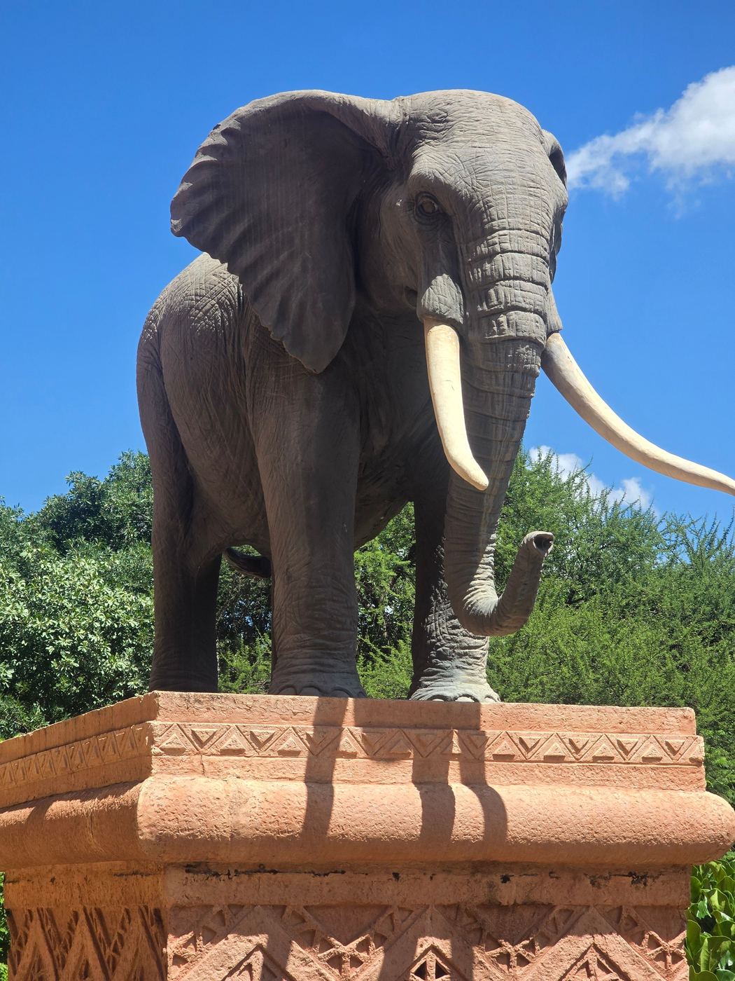 Pilanesberg game drive