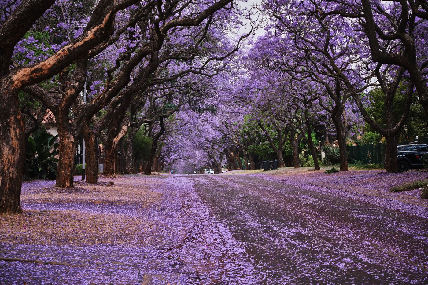 Pretoria landmark